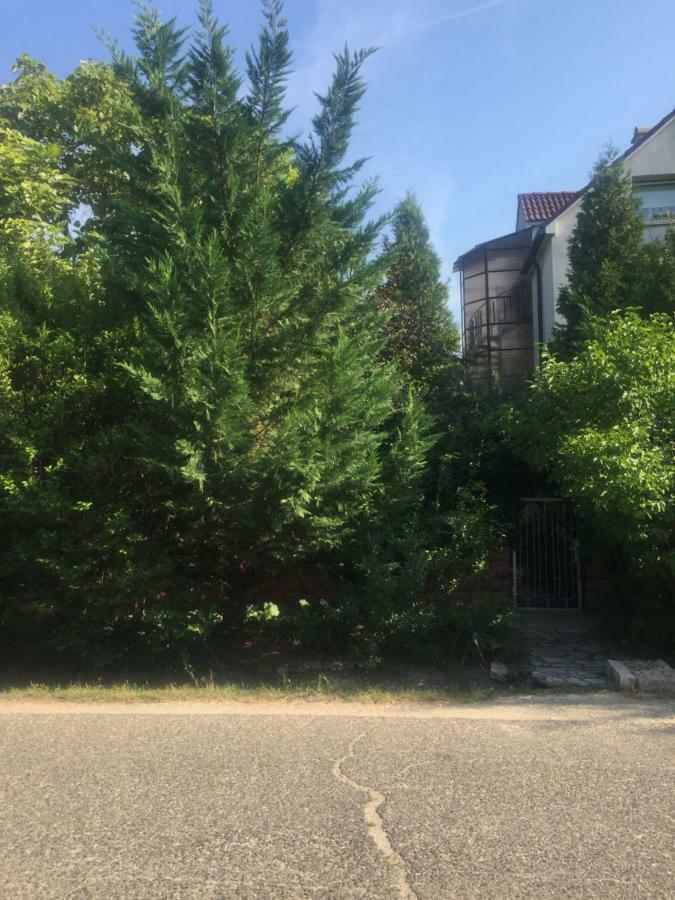 Apartman-Donau Tát Exterior photo